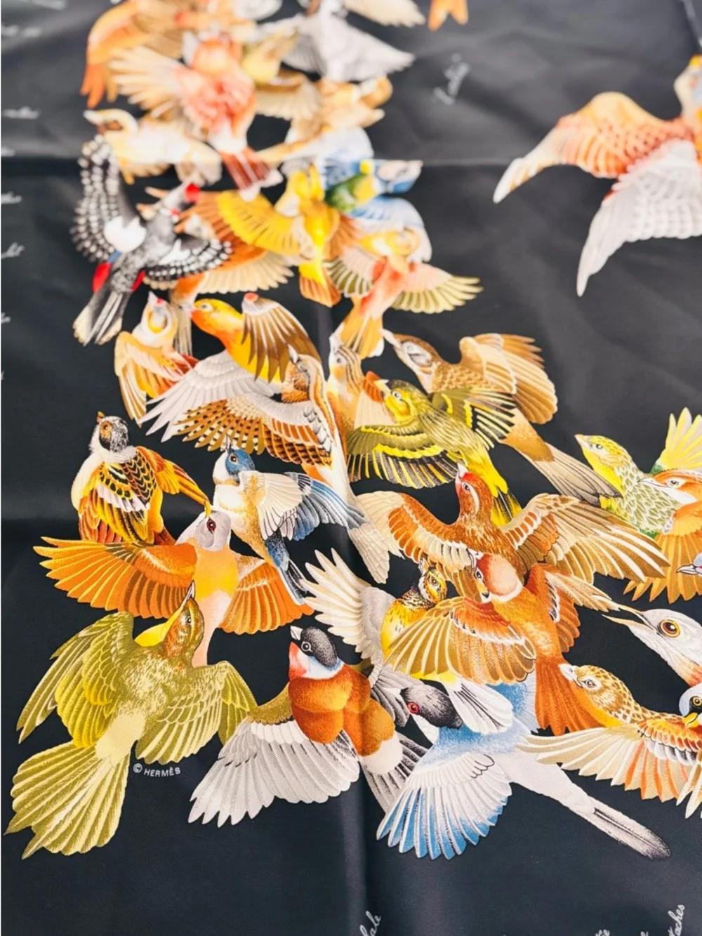 Hermès L'Intrus Silk Carré 90 Bird Scarf